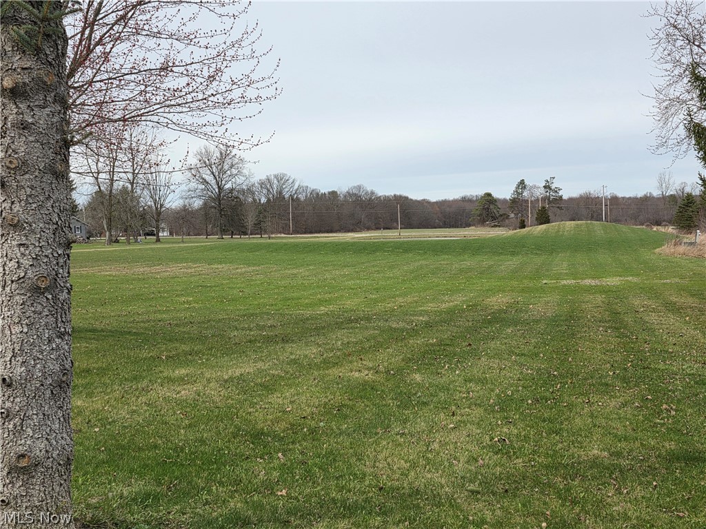 8566 Chatham Road Medina, OH 44256 - Photo 34 of 48 Front yard
