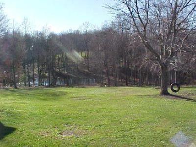 397 Old Log Lick Road Winchester, KY 40391 - Photo 3 of 16 A view of the yard, pond and the rest of