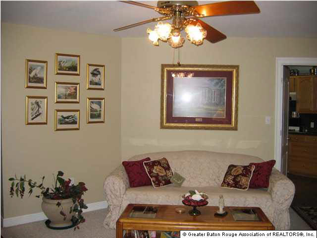 4584 Raymond Labauve Road Brusly, LA 70719 - Photo 3 of 12 Gallery Image 3