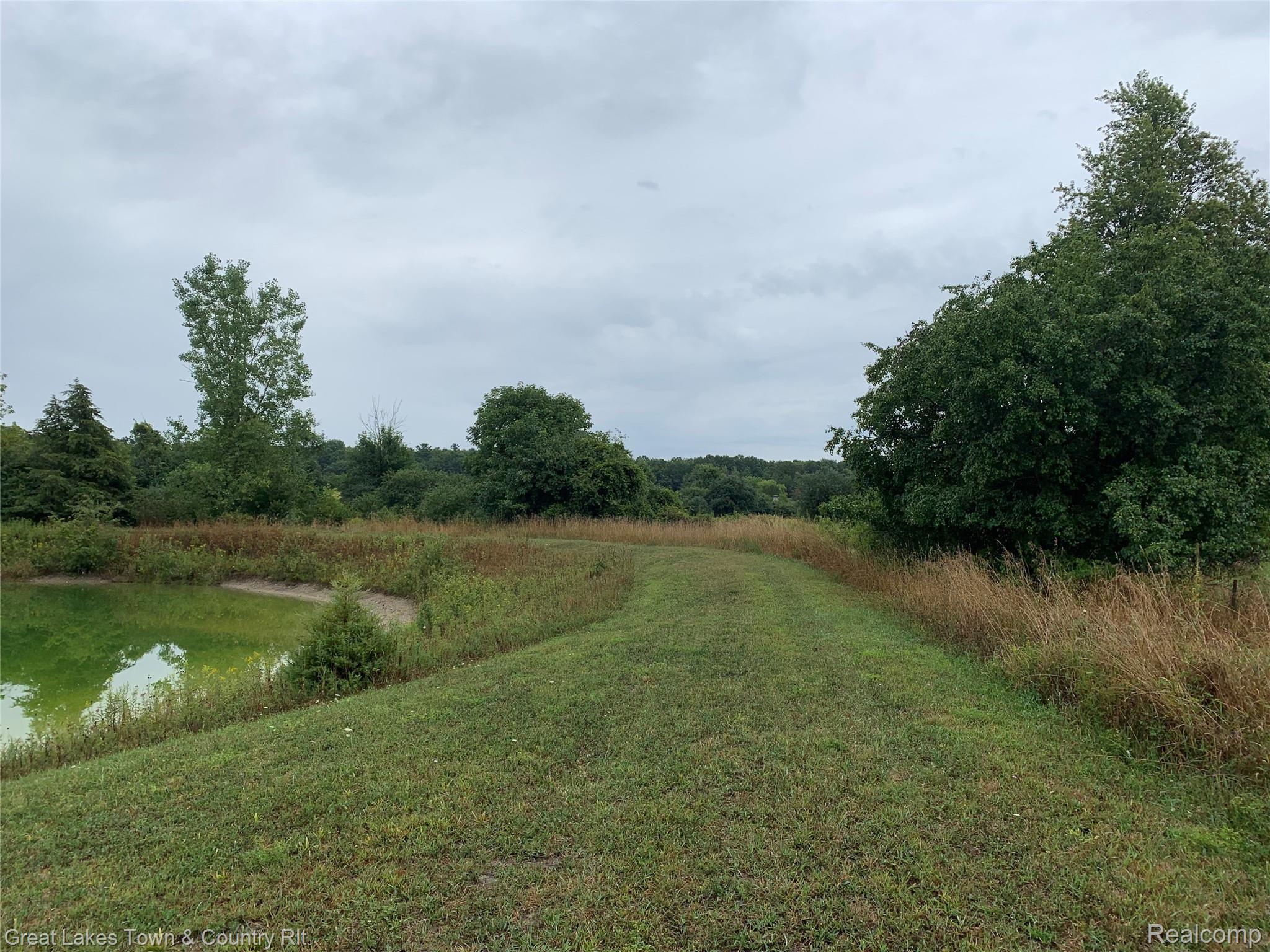1833 South Wilder Road Lapeer, MI 48446 - Photo 3 of 17 land back by the pond