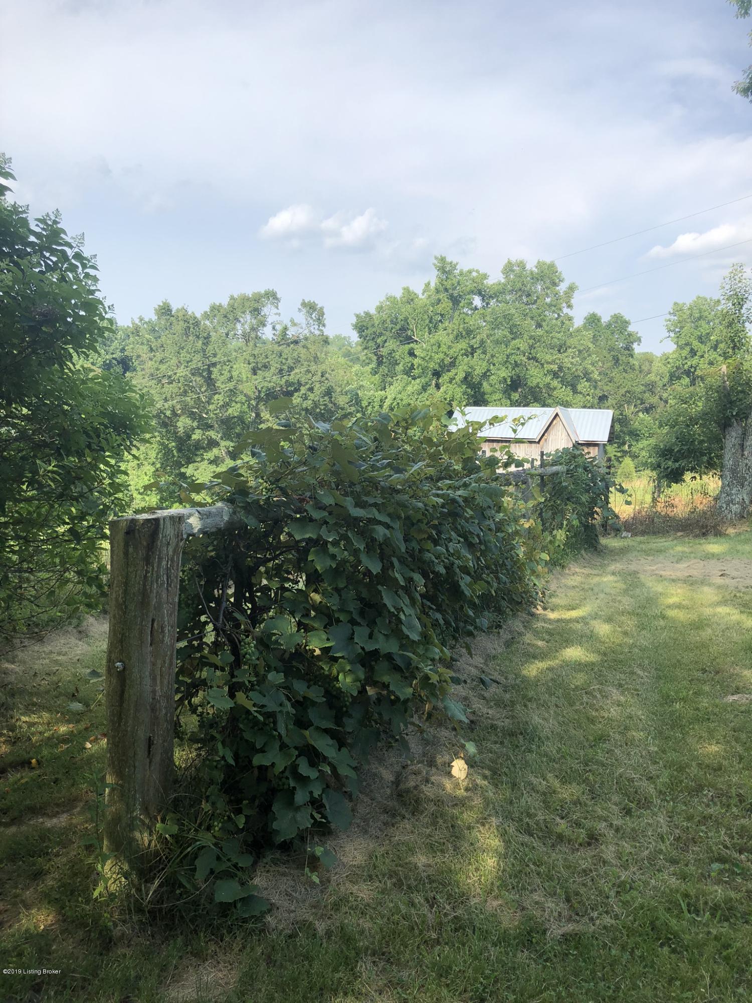 1515 Morgan Road Payneville, KY 40157 - Photo 23 of 62 22