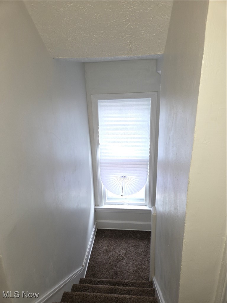 3797 Delmore Road Cleveland, OH 44121 - Photo 27 of 39 Stairway with a textured ceiling and carpet flooring