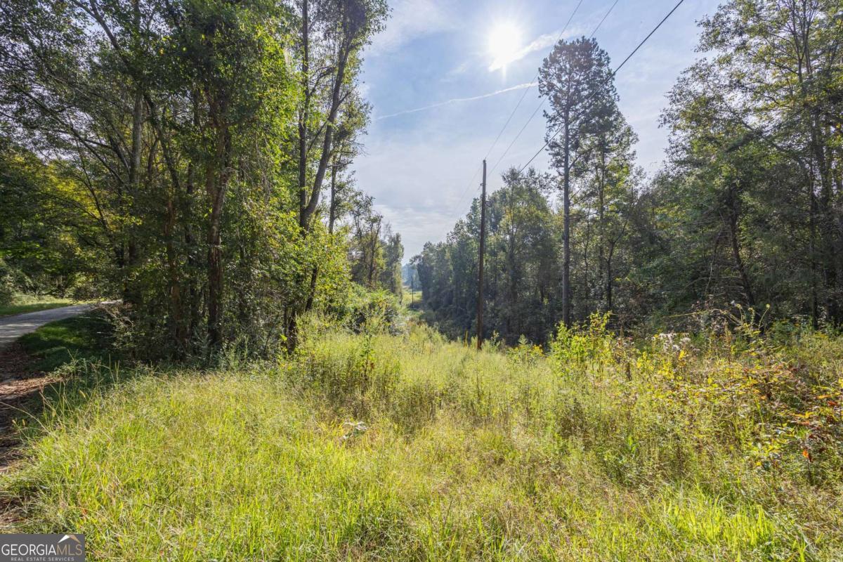 0 Edwin Reynolds Road Maysville, GA 30558 - Photo 6 of 19 a view of a garden