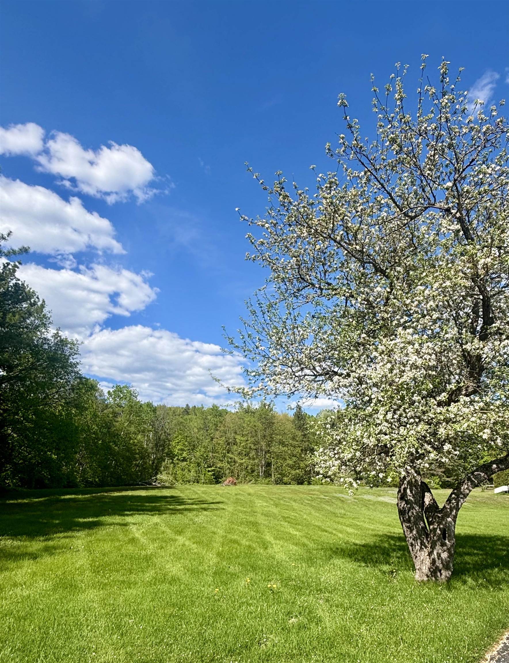 308 Middle St Fork Brighton, VT 05846 - Photo 35 of 37