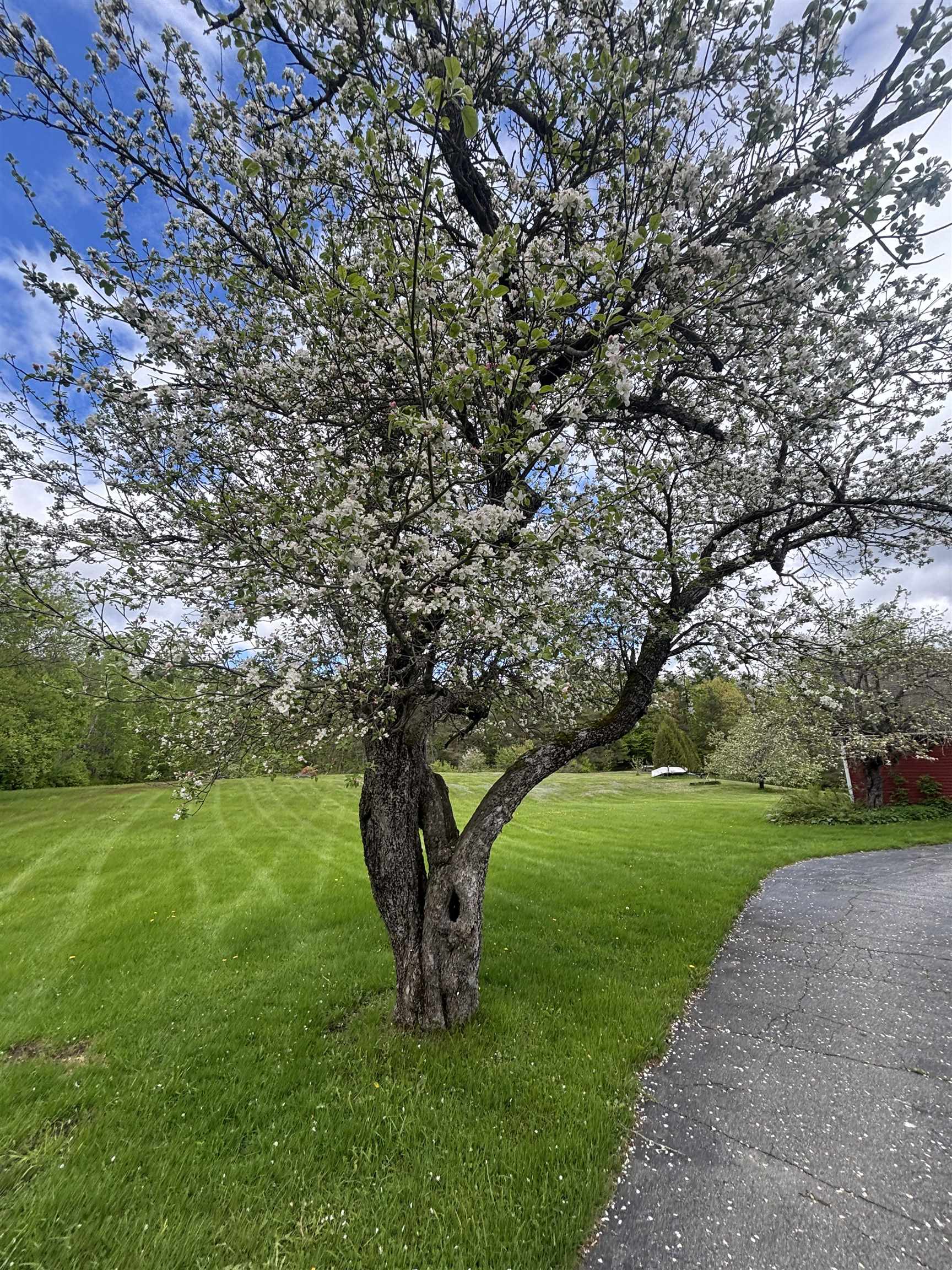 308 Middle St Fork Brighton, VT 05846 - Photo 37 of 37