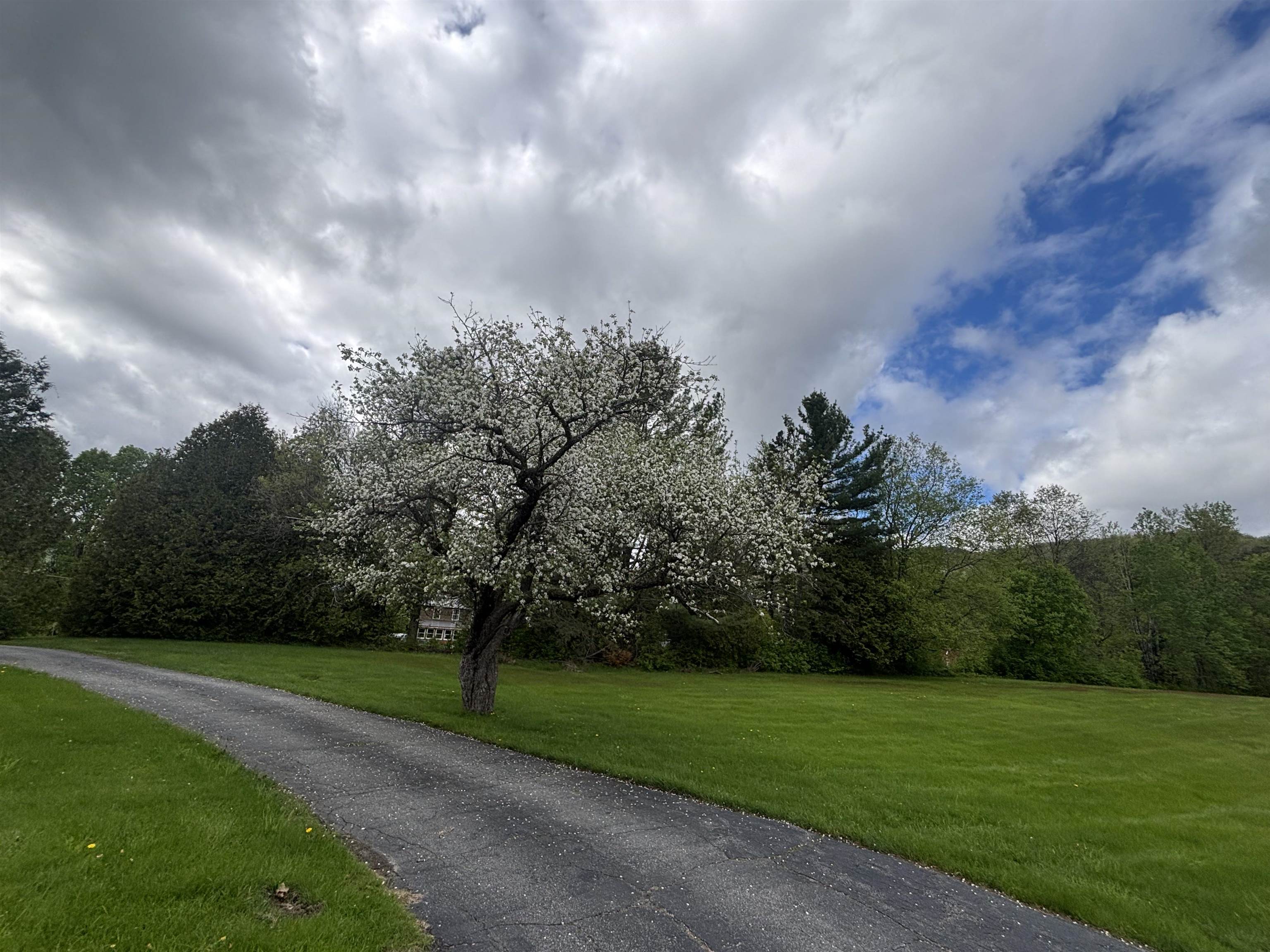 308 Middle St Fork Brighton, VT 05846 - Photo 5 of 37