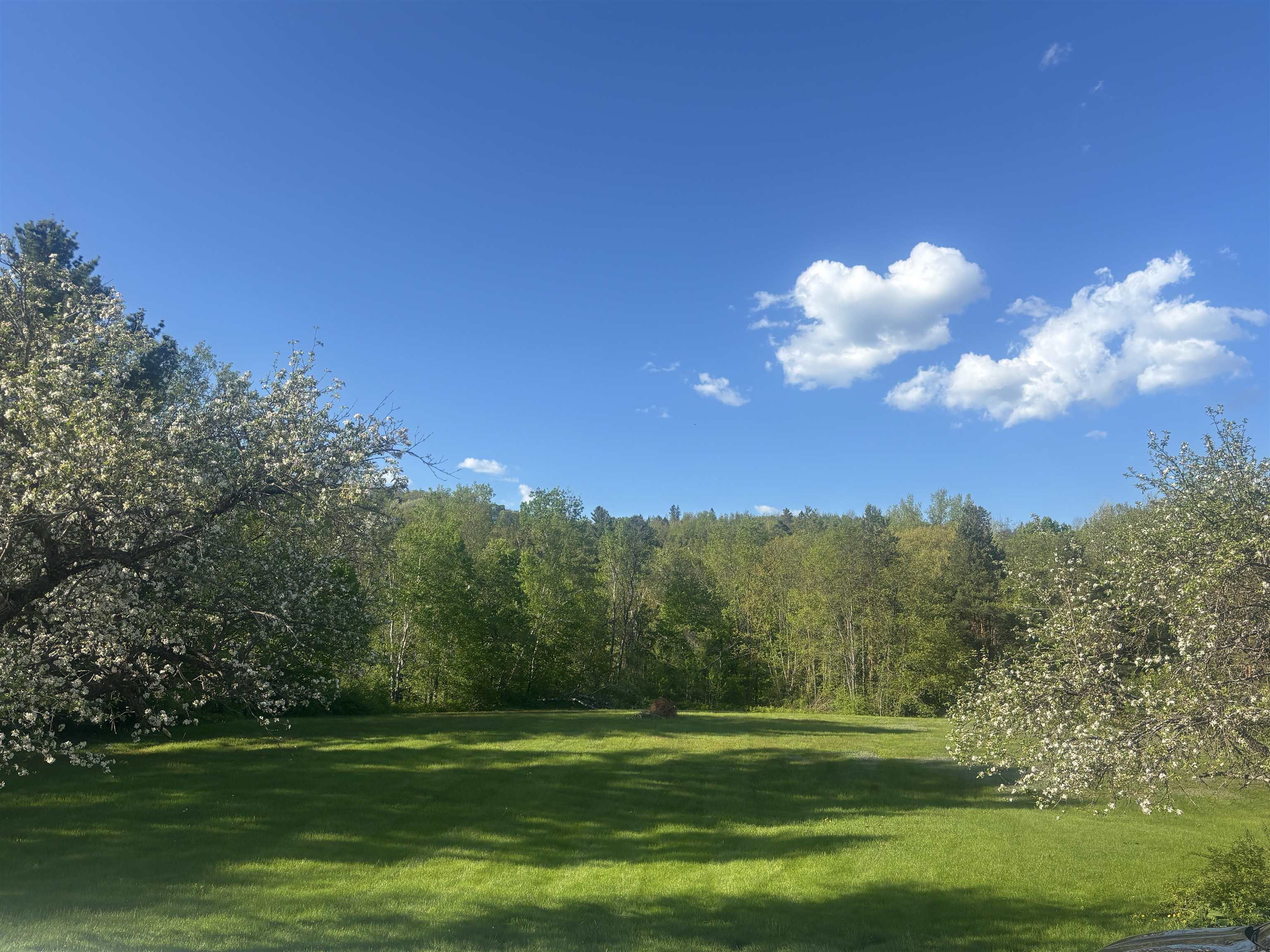 308 Middle St Fork Brighton, VT 05846 - Photo 6 of 37