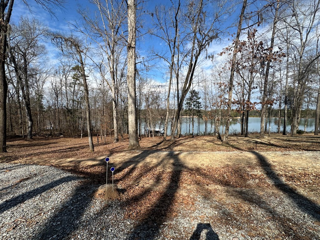 2422 County Road 97 Abbeville, AL 36310 - Photo 49 of 50