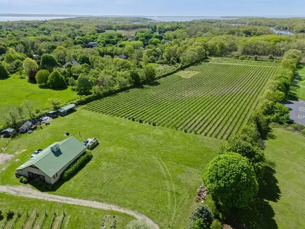 a view of a lush green space