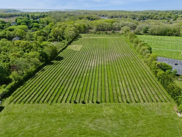 a view of a green field