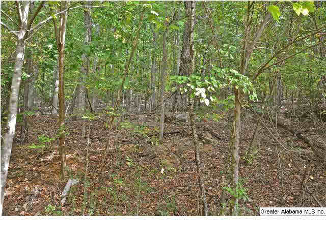 3661 Cahaba Beach Road Birmingham, AL 35242 - Photo 25 of 29
