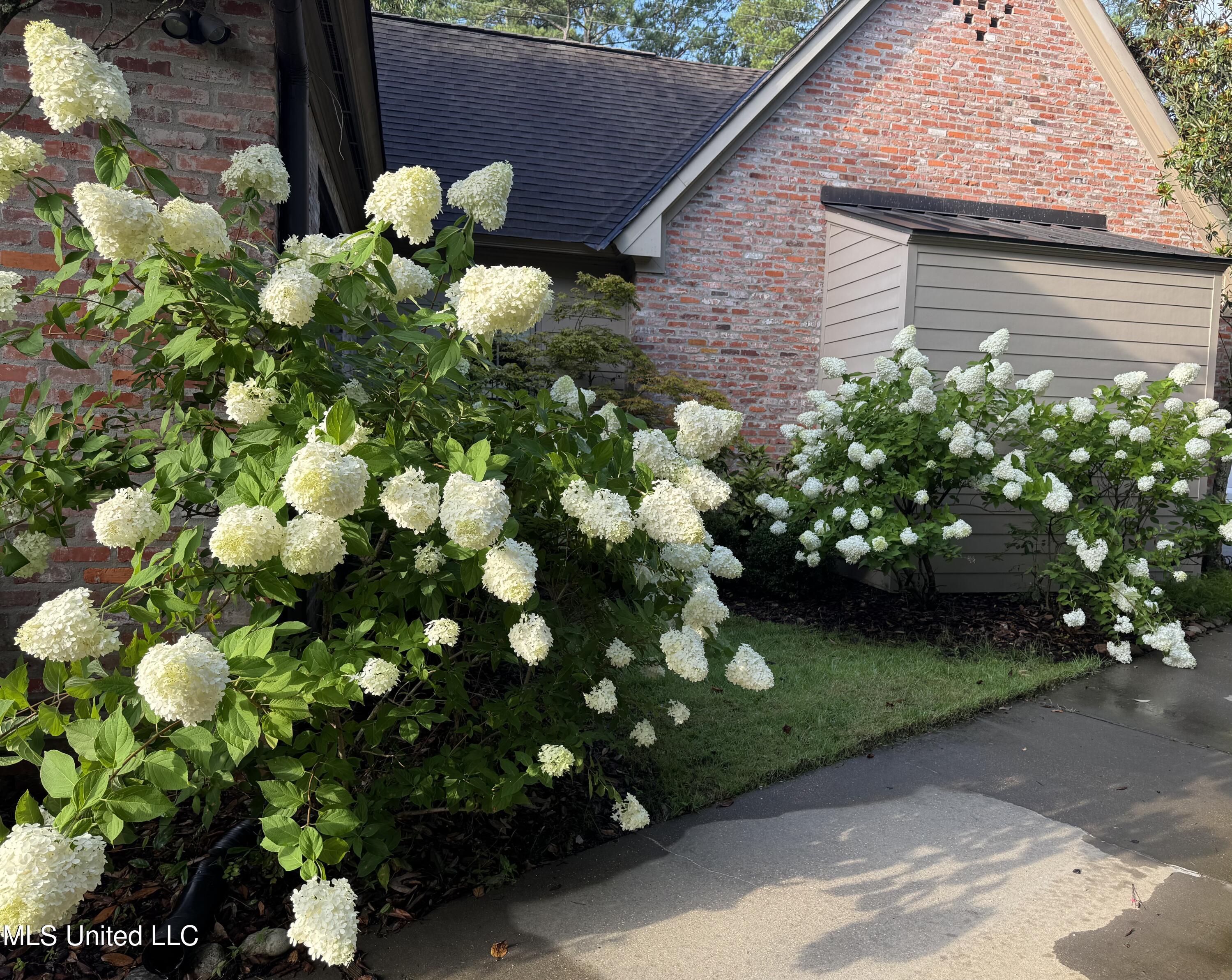 5 Pecan Tree Place Jackson, MS 39211 - Photo 42 of 62 IMG_4610