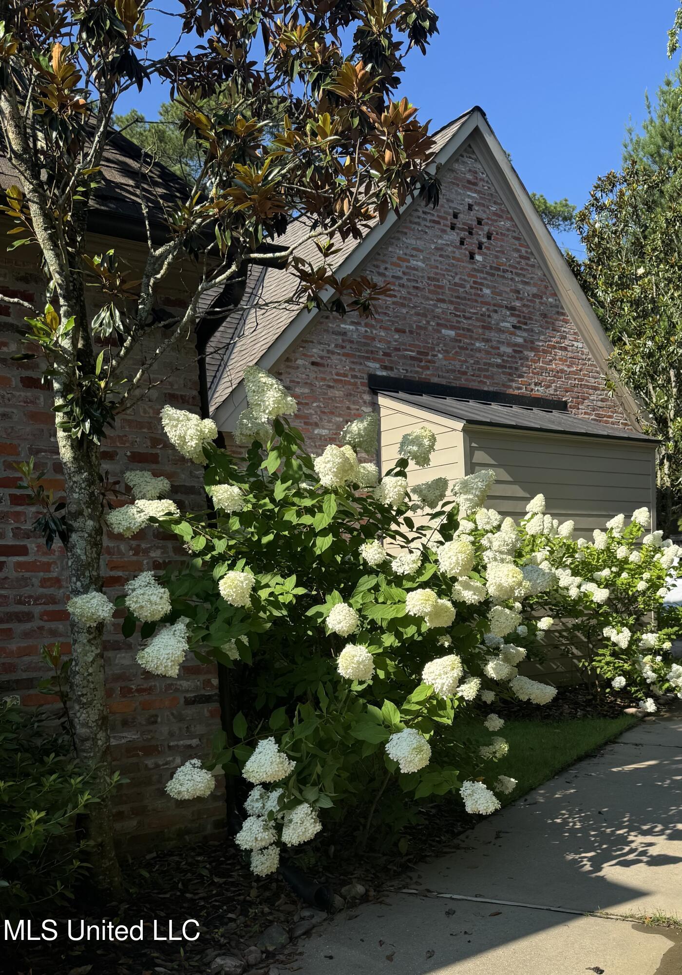 5 Pecan Tree Place Jackson, MS 39211 - Photo 43 of 62 IMG_4599