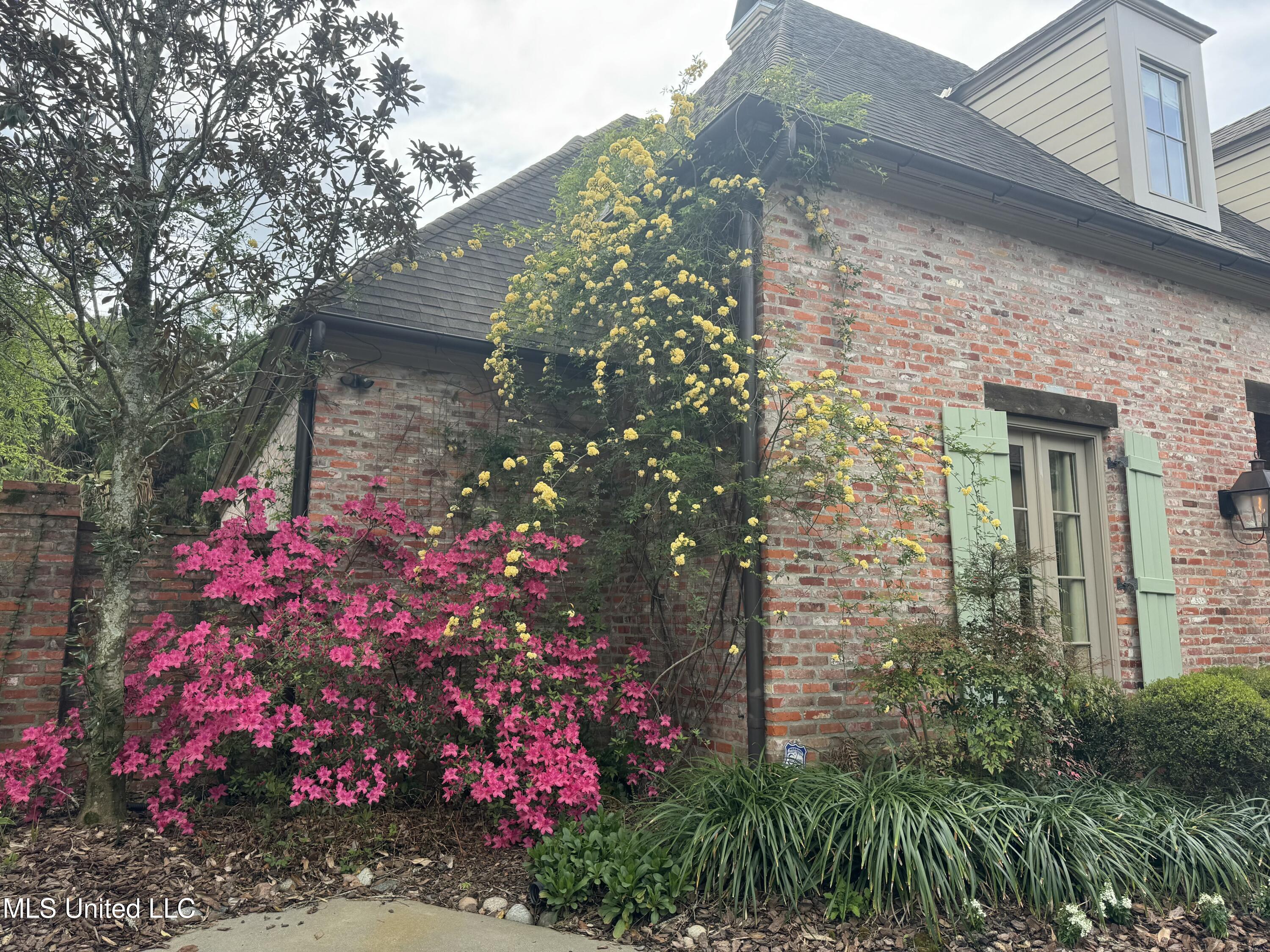 5 Pecan Tree Place Jackson, MS 39211 - Photo 44 of 62 IMG_4133