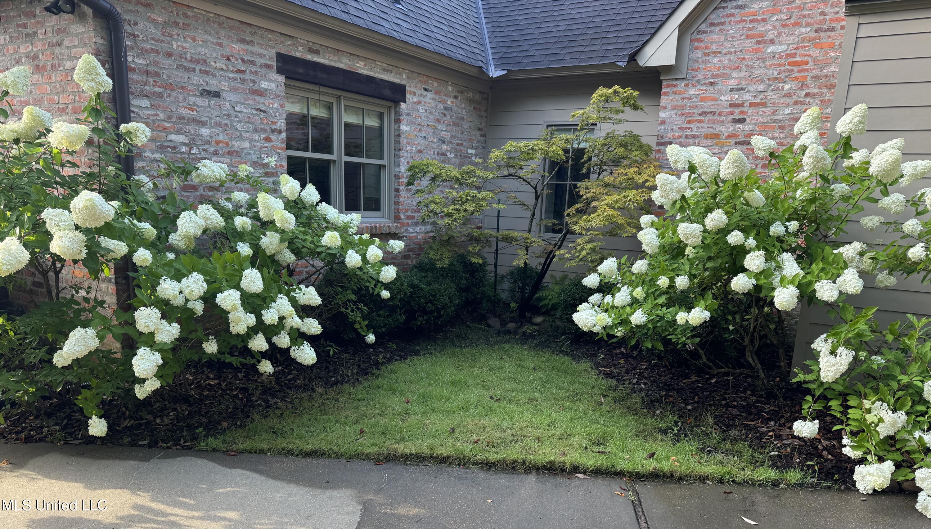 5 Pecan Tree Place Jackson, MS 39211 - Photo 45 of 62 IMG_4609