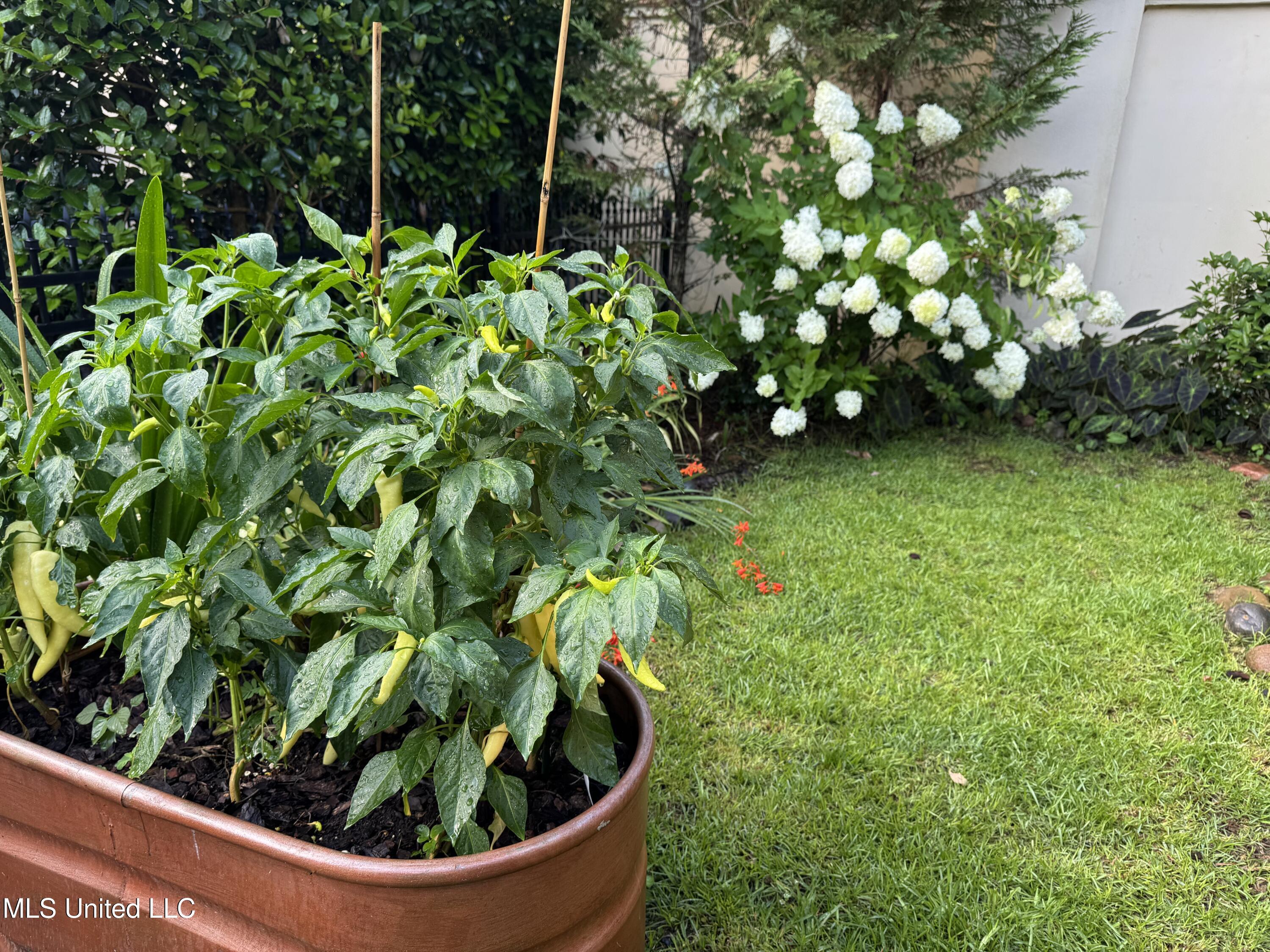 5 Pecan Tree Place Jackson, MS 39211 - Photo 46 of 62 IMG_4606