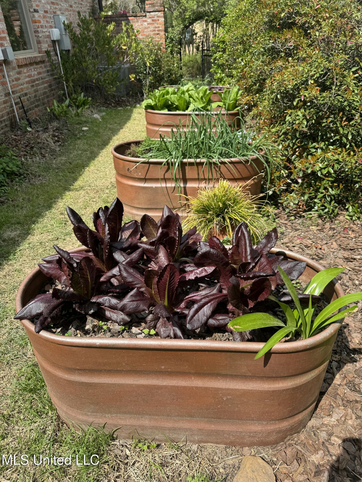 5 Pecan Tree Place Jackson, MS 39211 - Photo 47 of 62 IMG_4134