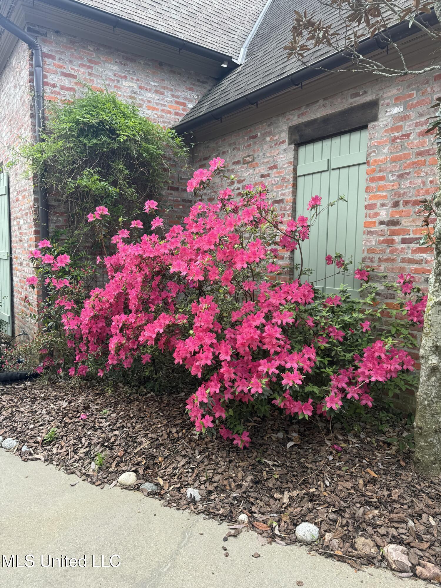 5 Pecan Tree Place Jackson, MS 39211 - Photo 59 of 62 IMG_4132