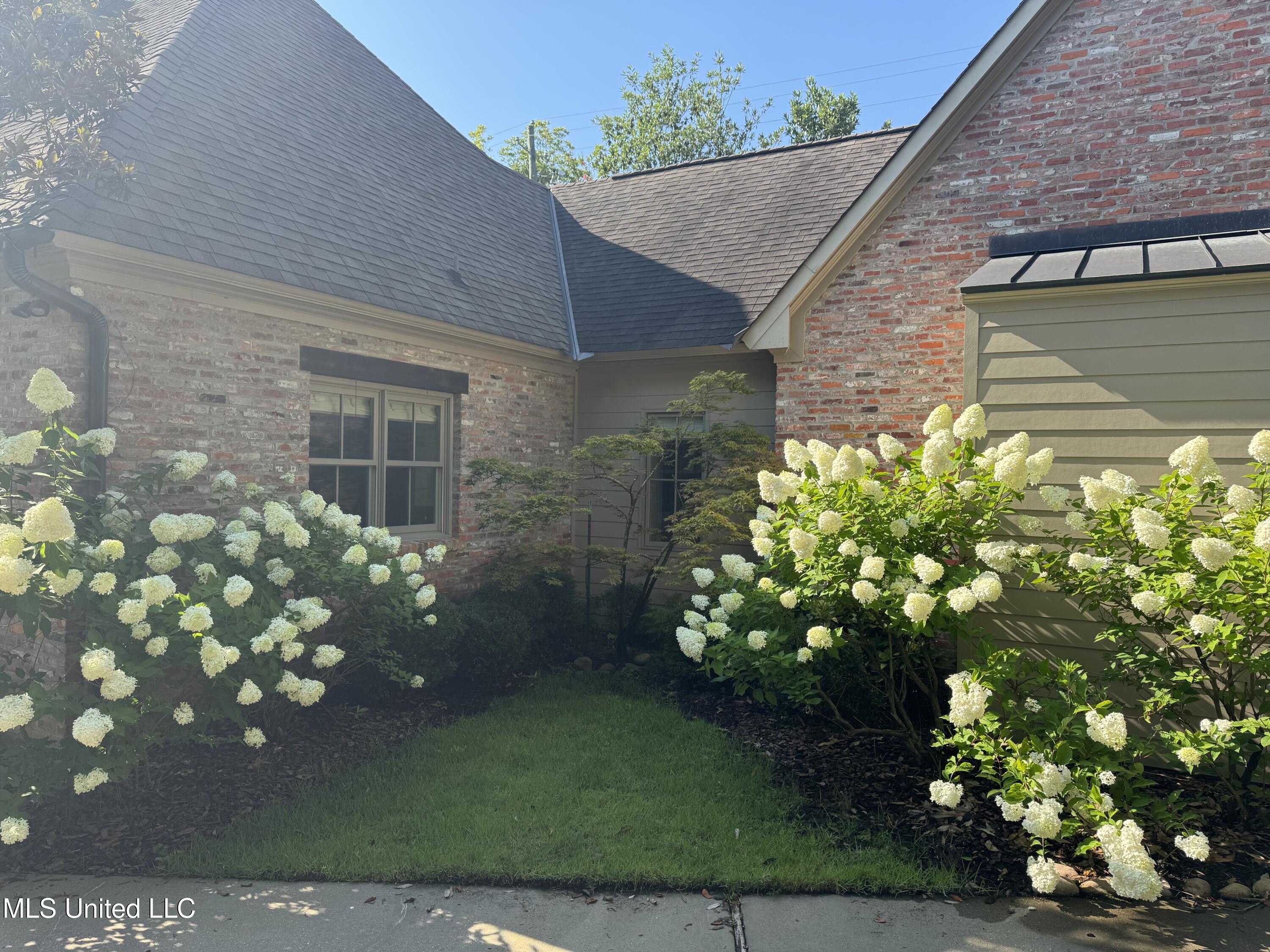 5 Pecan Tree Place Jackson, MS 39211 - Photo 60 of 62 IMG_4598