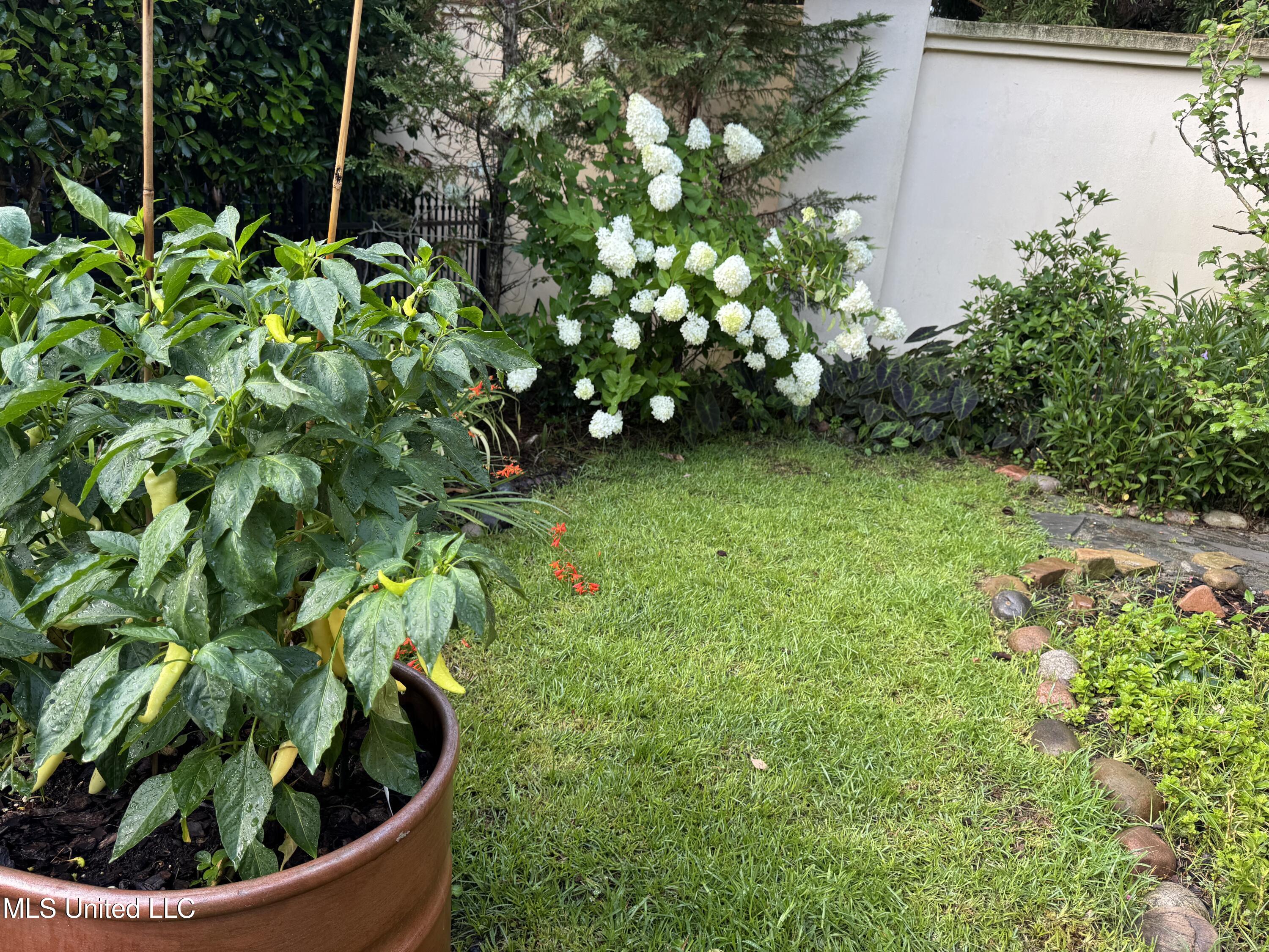 5 Pecan Tree Place Jackson, MS 39211 - Photo 61 of 62 IMG_4605