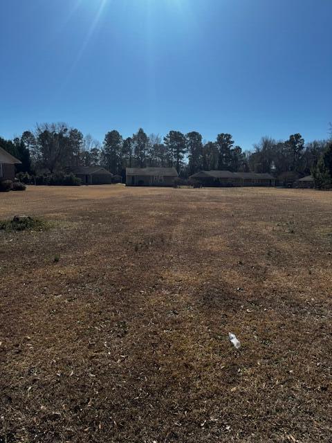 Tbd West Huggins Street Manning, SC 29102 - Photo 6 of 6