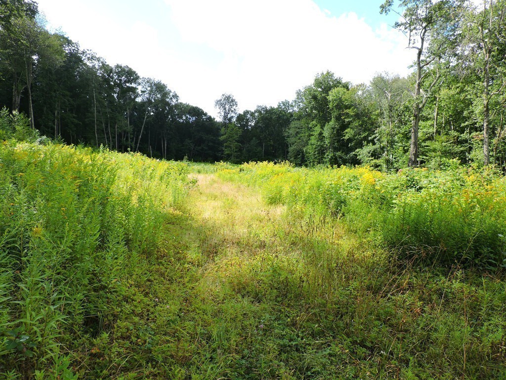 19 Mill Road North Brookfield, MA 01535 - Photo 27 of 30 a view of house and yard