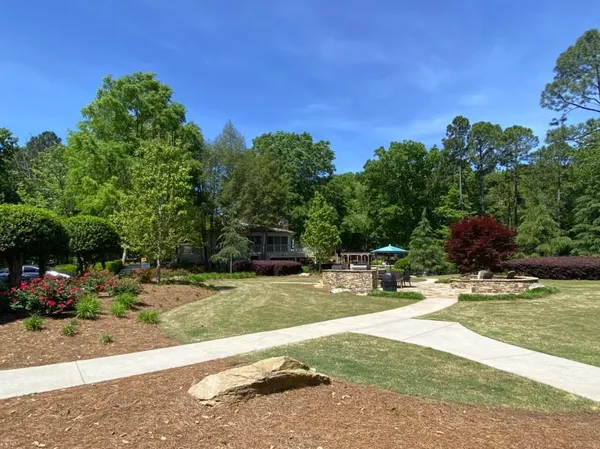 a view of a yard with plants