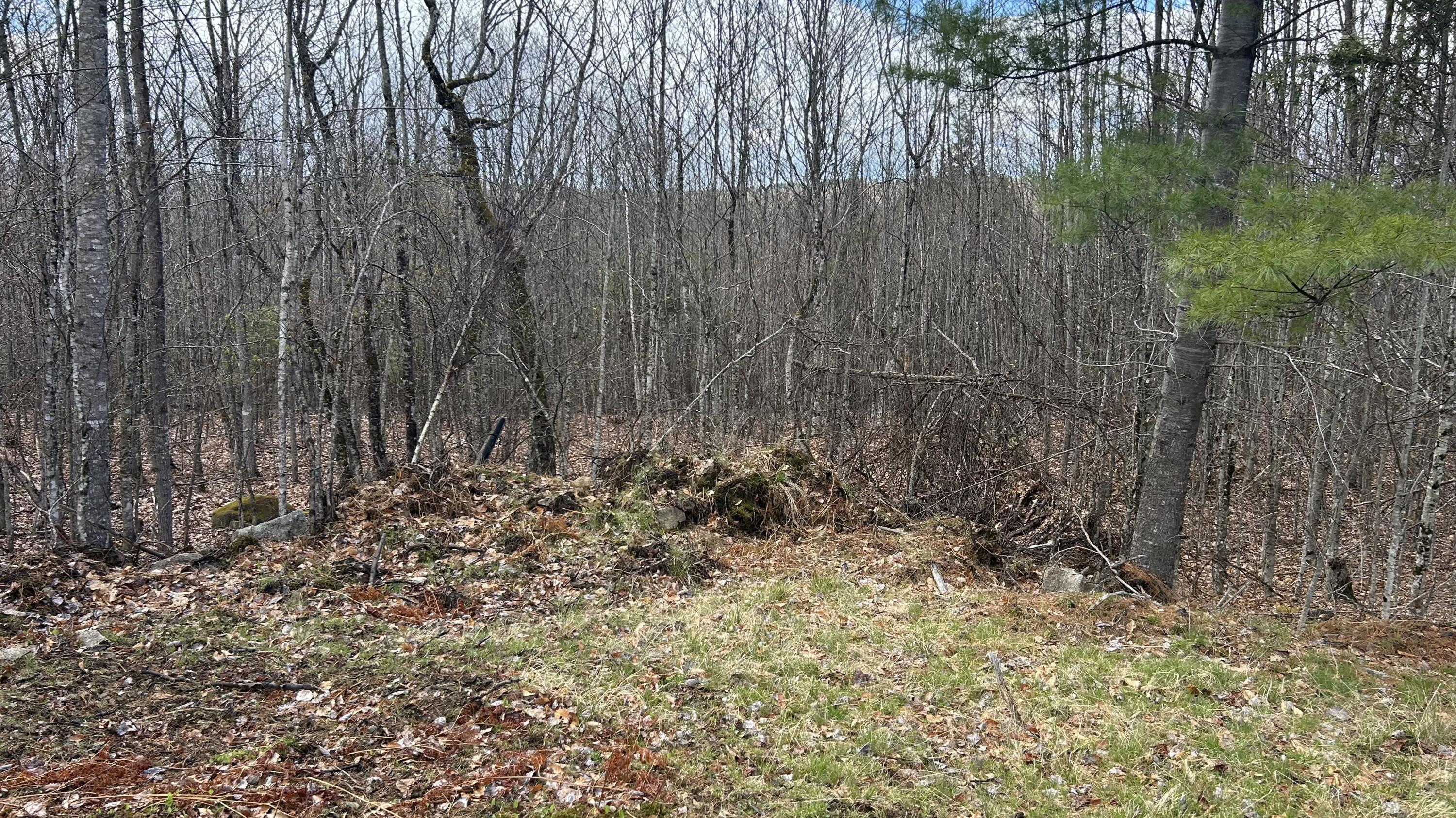 0 James Jipson Road West Enfield, ME 04493 - Photo 51 of 68