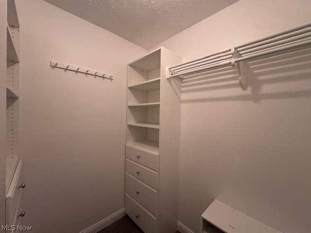 305 Guy's Run Road, Unit 305 Akron, OH 44319 - Photo 35 of 37 walk in closet