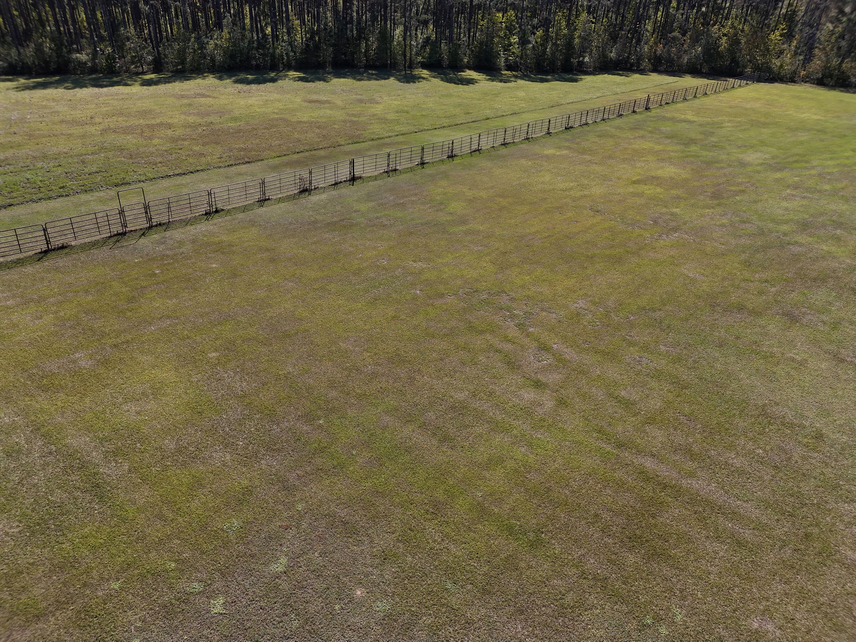 2765 Steiner Place Road Waynesboro, GA 30830 - Photo 44 of 68 Cross fenced ..... but the entire tract is also fenced in