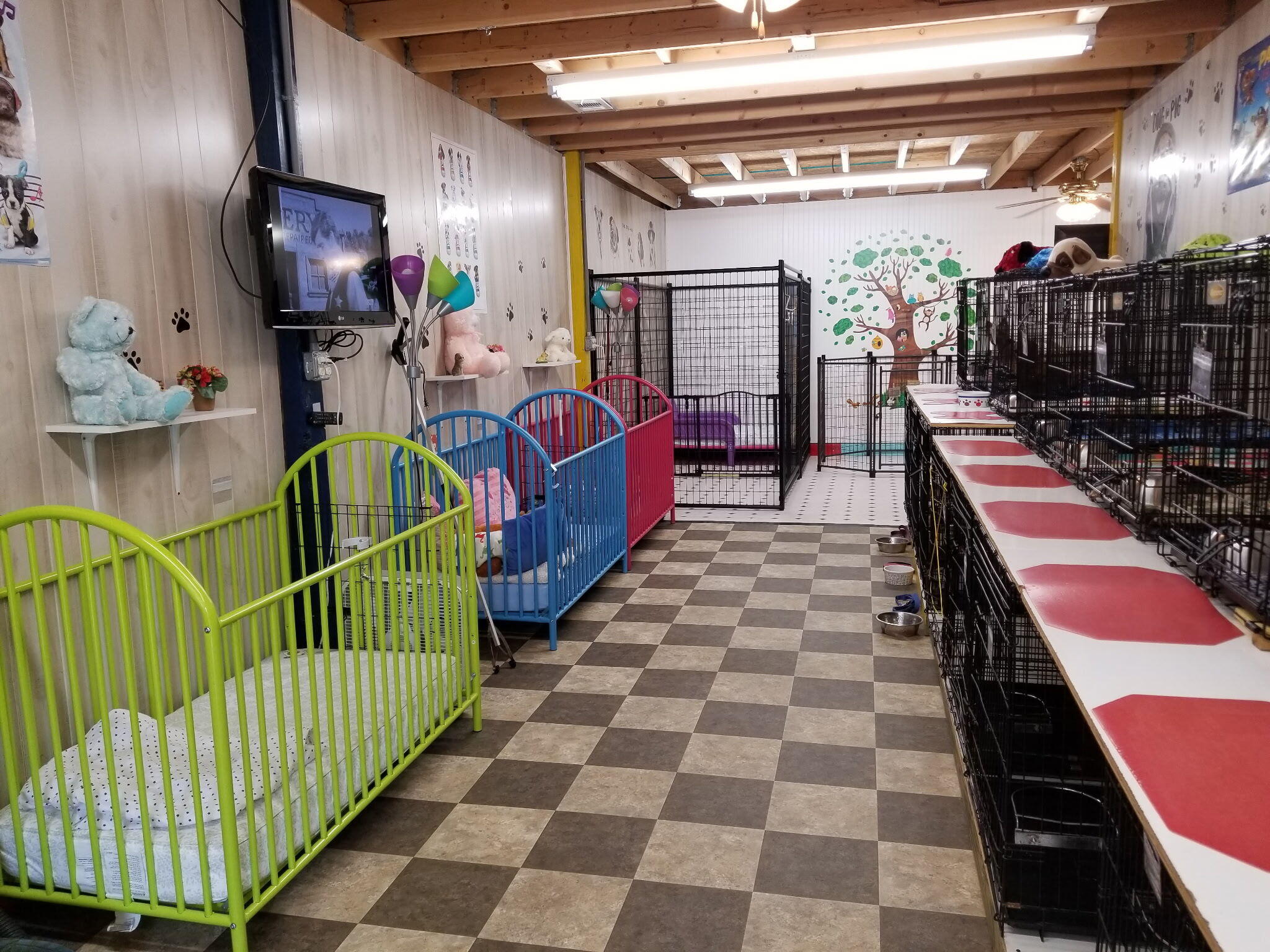 2765 Steiner Place Road Waynesboro, GA 30830 - Photo 63 of 68 grooming room with baby cribs