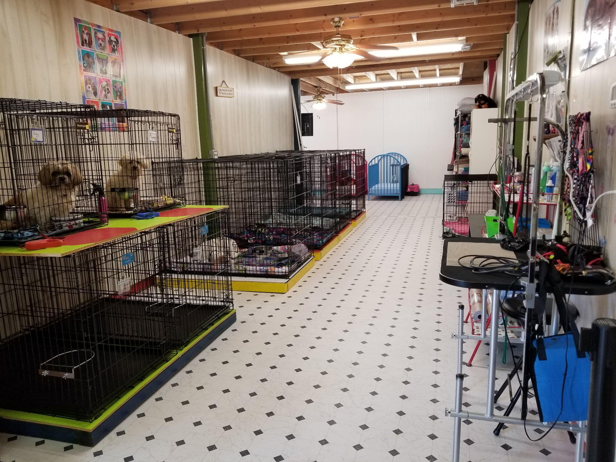 2765 Steiner Place Road Waynesboro, GA 30830 - Photo 68 of 68 mh grooming room