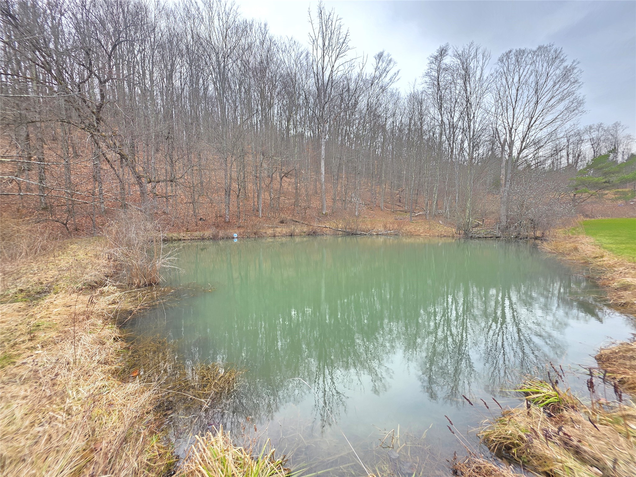 514 Crumtown Road Spencer, NY 14883 - Photo 35 of 49