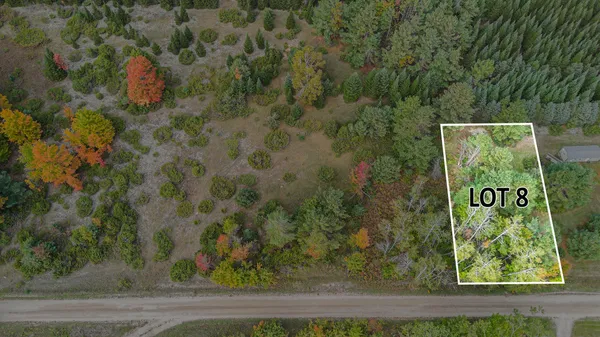 $14,900 | V/l Trout Creek Road, Cheboygan, MI 49721
