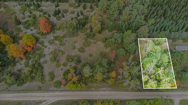 $14,900 | V/l Trout Creek Road, Cheboygan, MI 49721