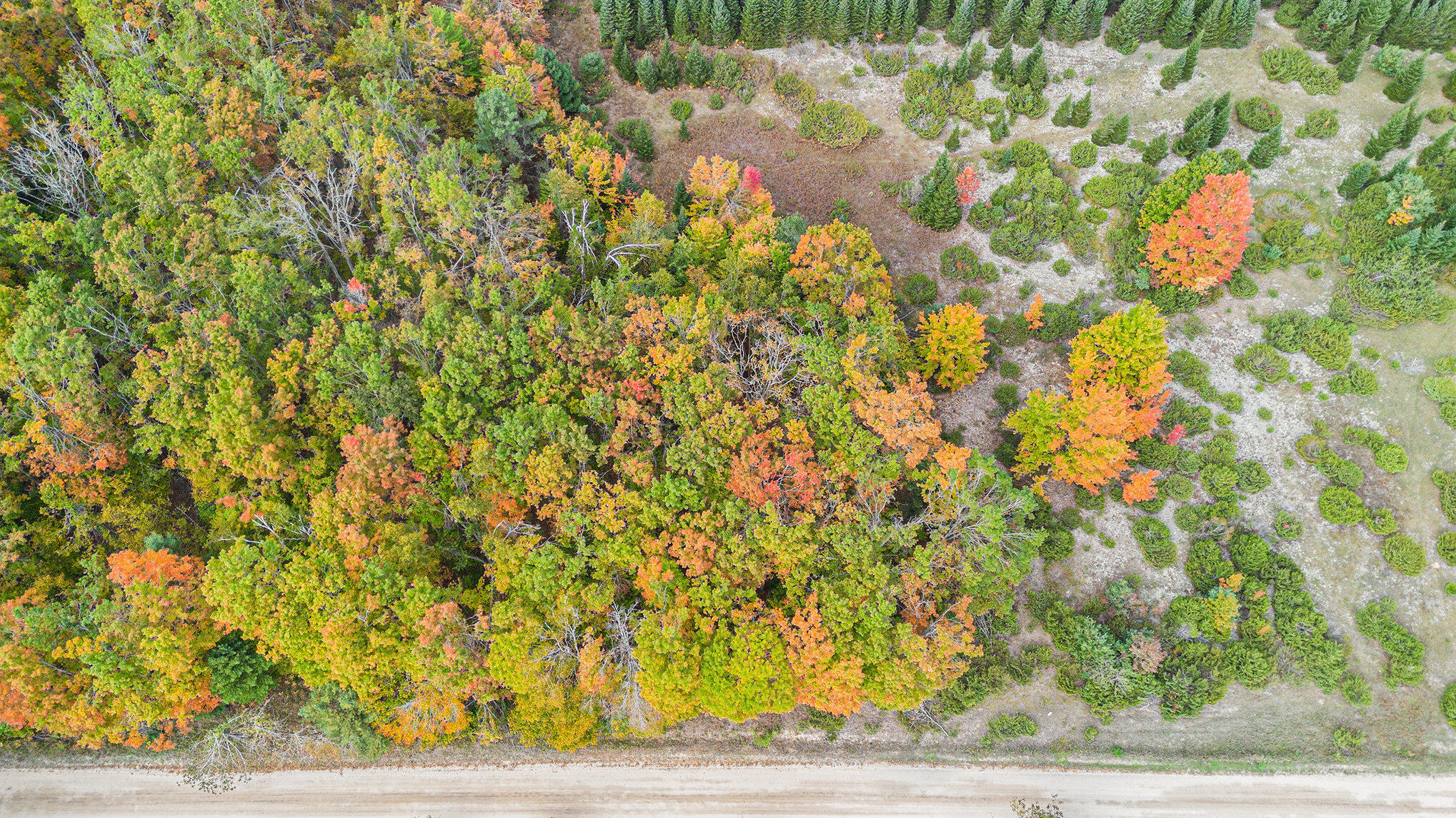 V/l Trout Creek Road Cheboygan, MI 49721 - Photo 5 of 6 003_dji_0824_513