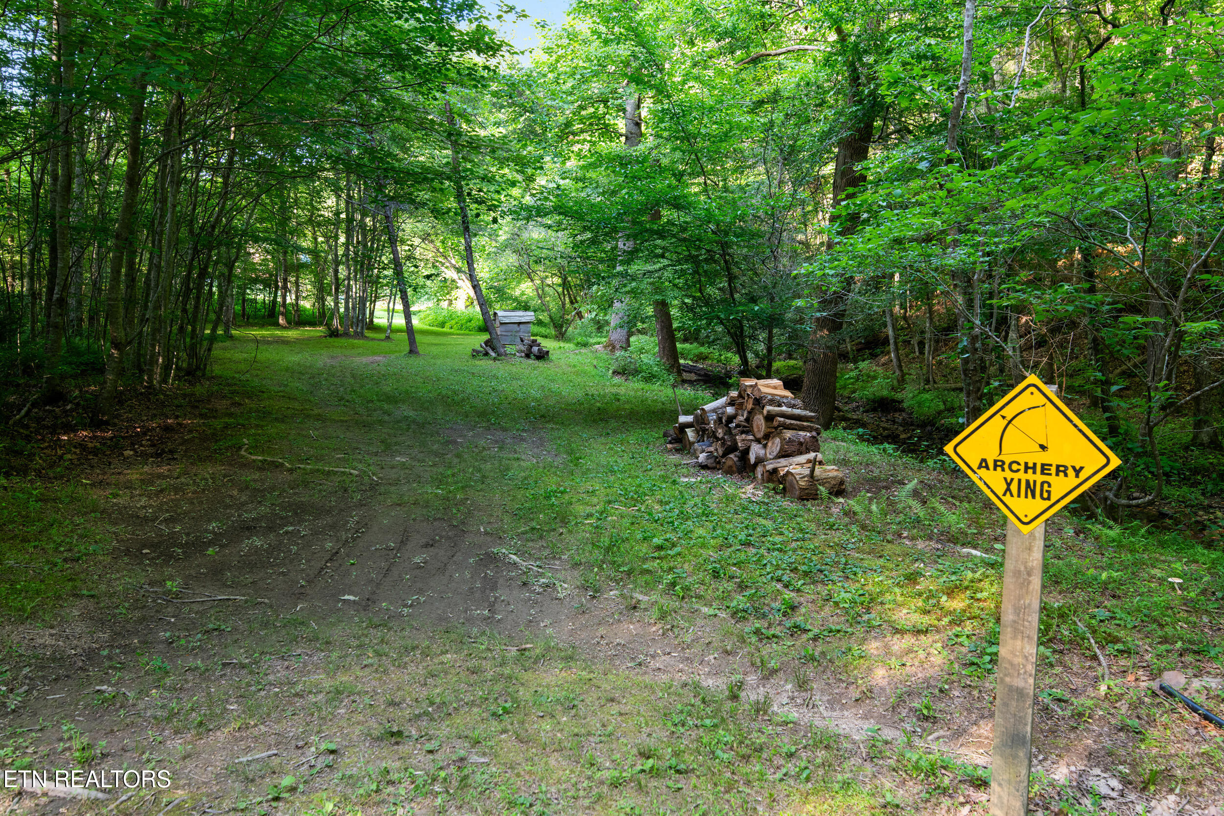 610 Towee Falls Road Tellico Plains, TN 37385 - Photo 9 of 60 610 towee falls rd-13