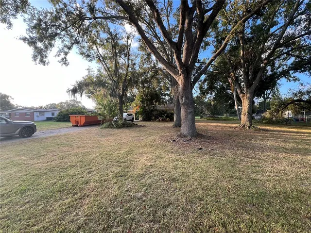 a view of a yard with a tree