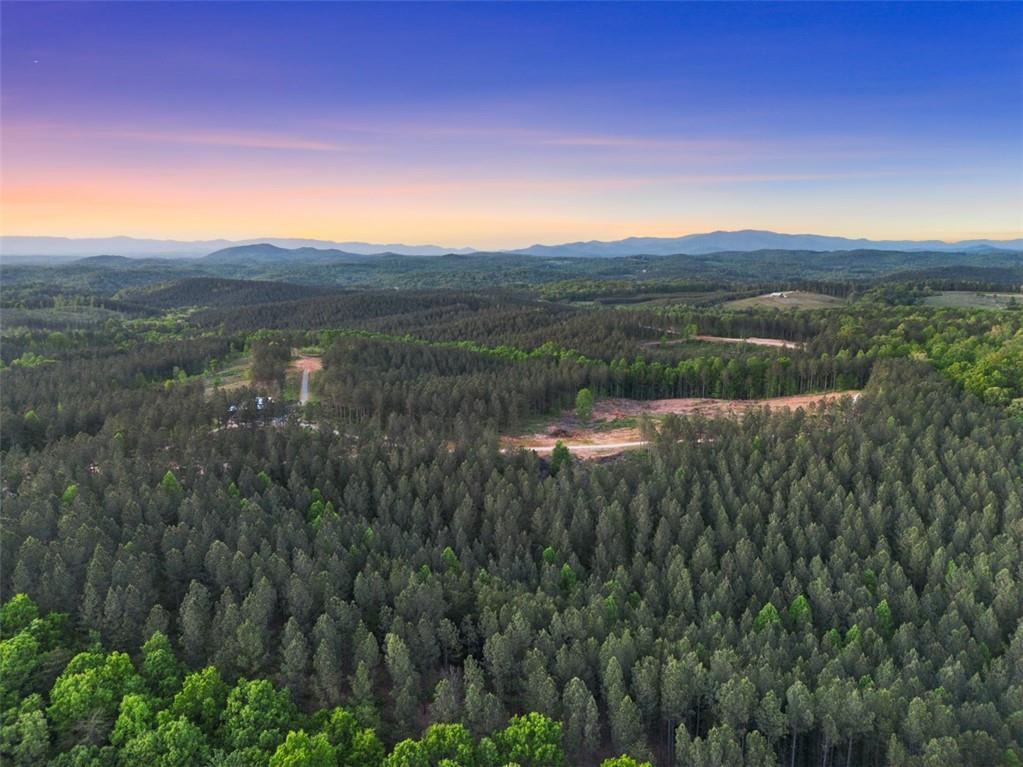 700 Bear Creek Road Talking Rock, GA 30175 - Photo 1 of 1 Gallery Image 1