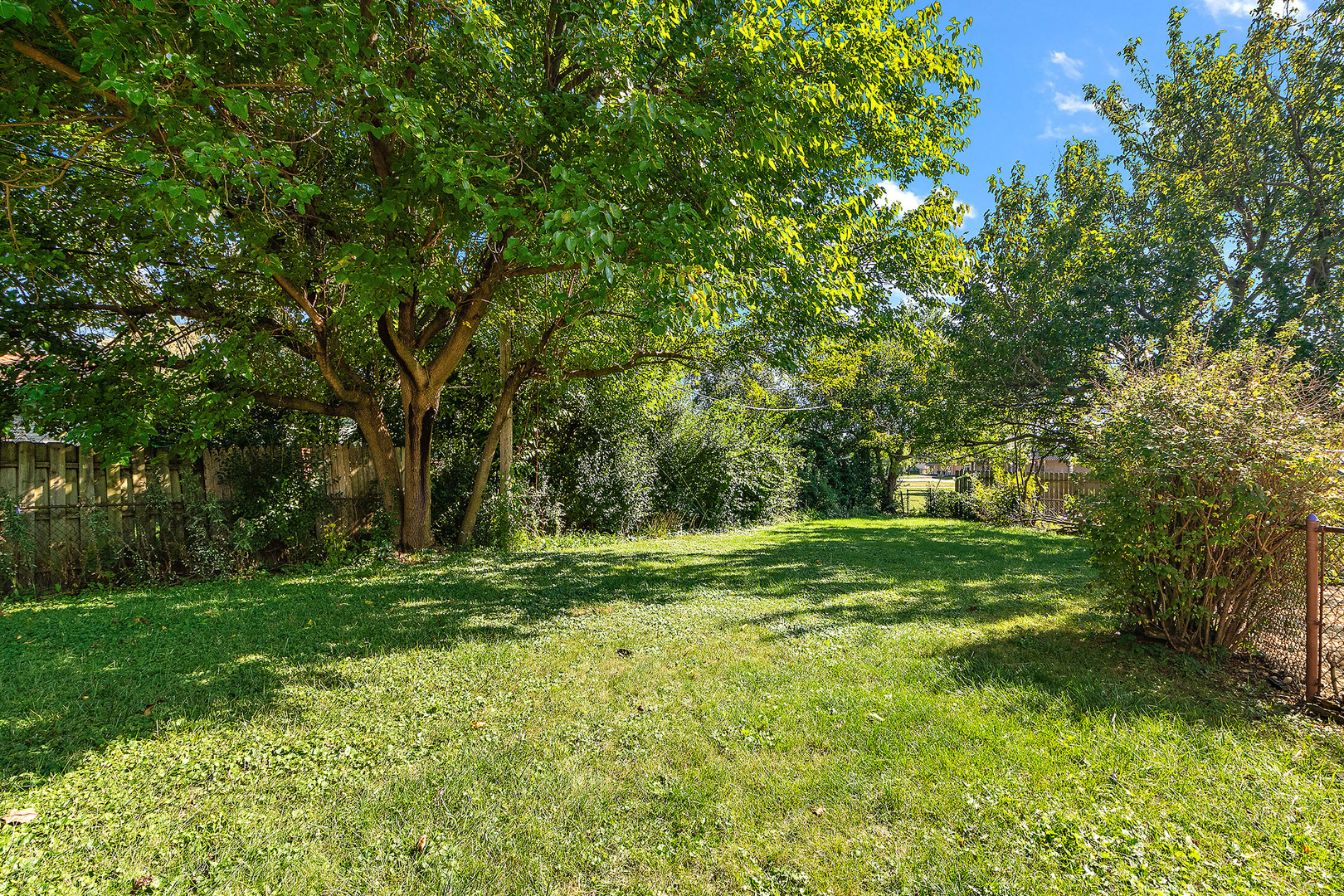 18849 Jamie Court Homewood, IL 60430 - Photo 31 of 35 a yard with trees in the background