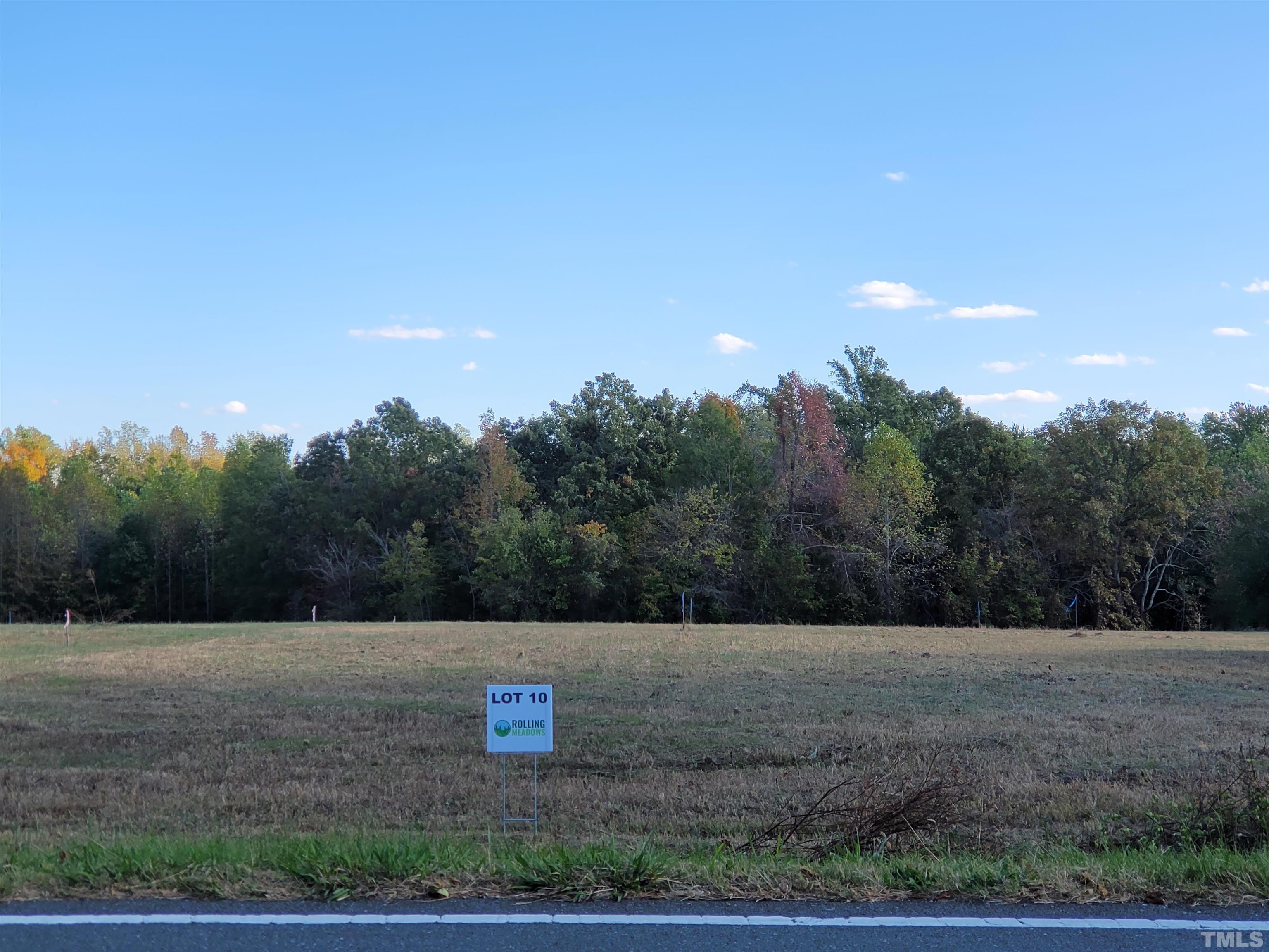 a view of a dry yard
