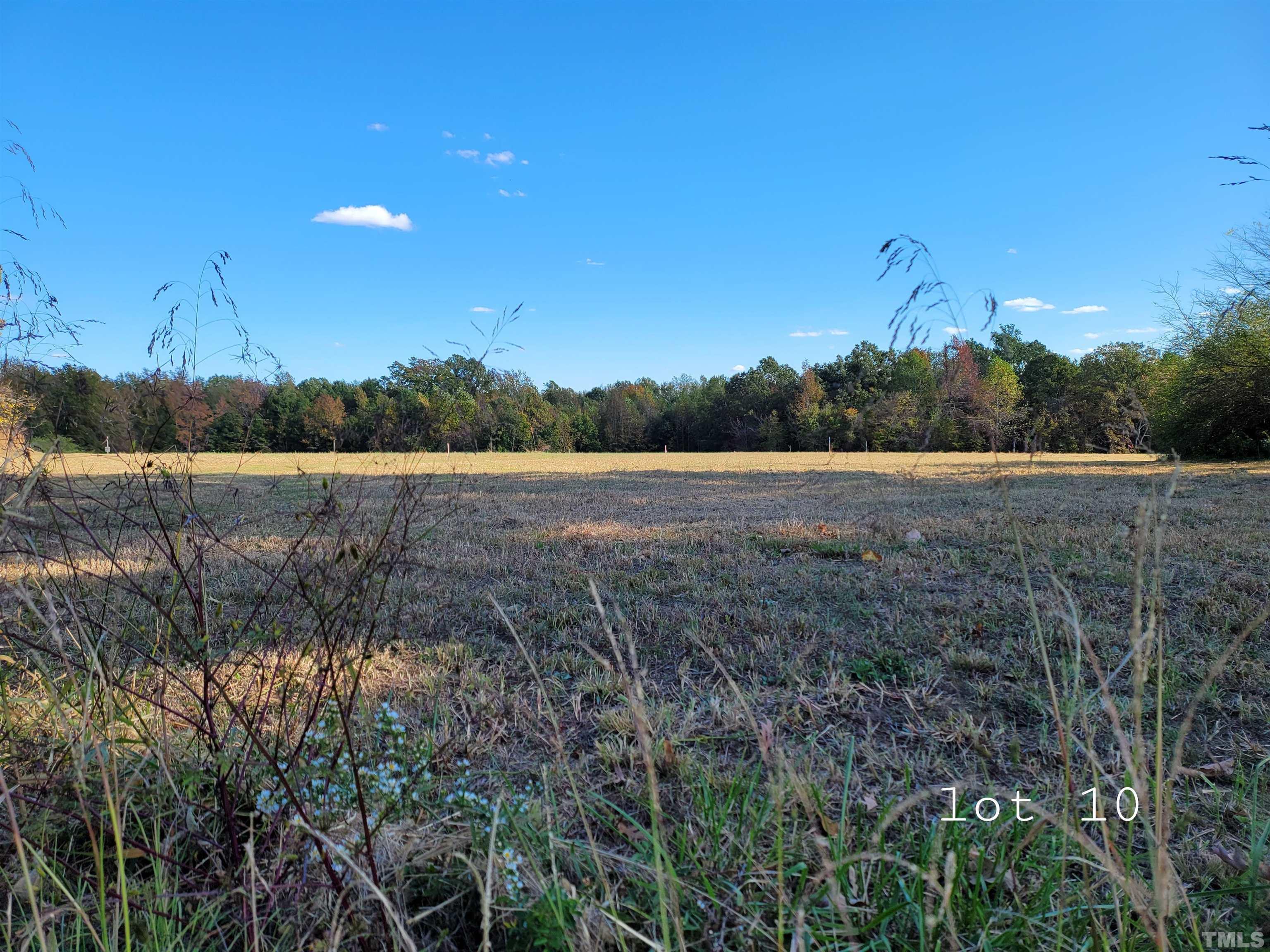 Lot 10 Allensville Road Roxboro, NC 27574 - Photo 4 of 10 a view of field with trees in the background