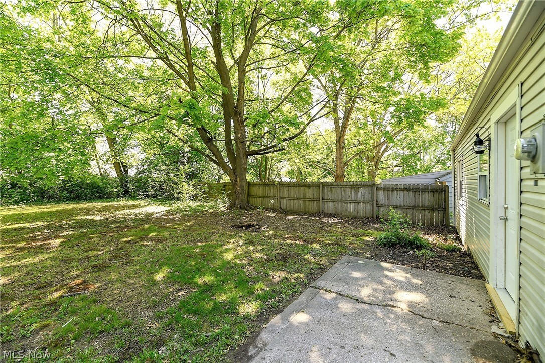 769 Patterson Avenue Akron, OH 44310 - Photo 3 of 27 *PATIO AND BACK DOOR TO THE SCENIC FENCED IN BACK YARD ~