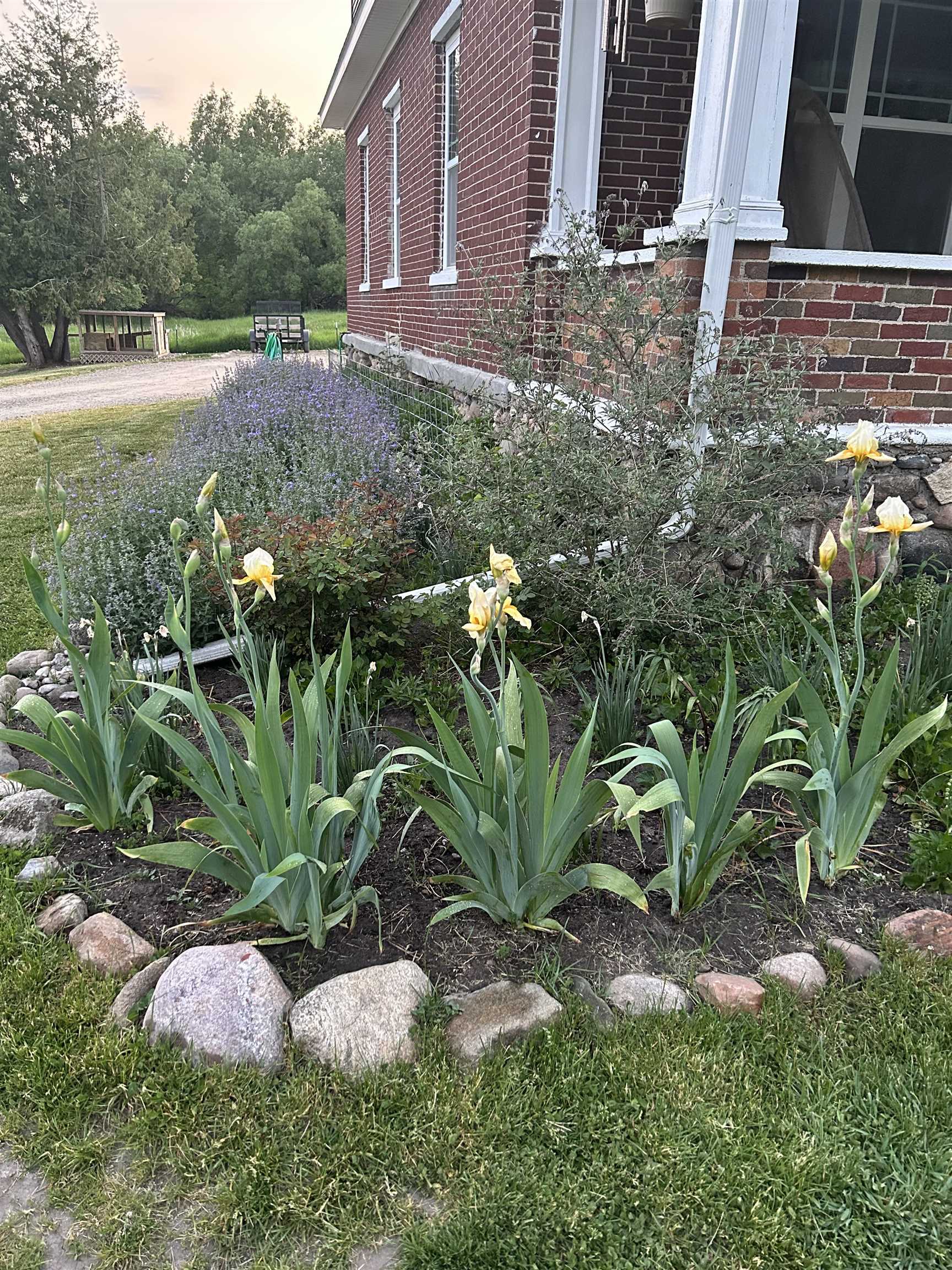 4397 Oberlin Road Gladwin, MI 48624 - Photo 78 of 78