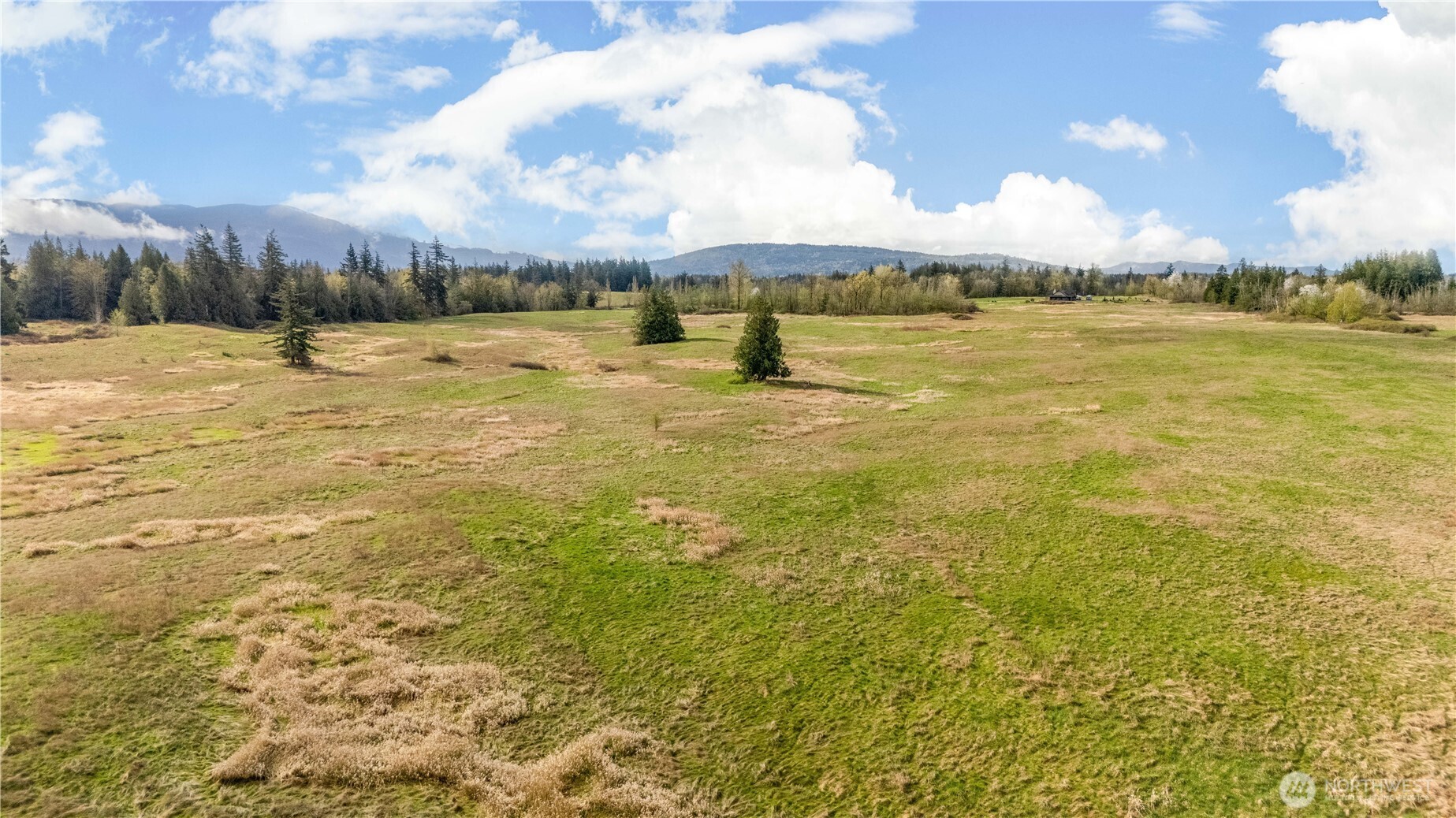 1817 Central Road Everson, WA 98247 - Photo 9 of 19 Gallery Image 9