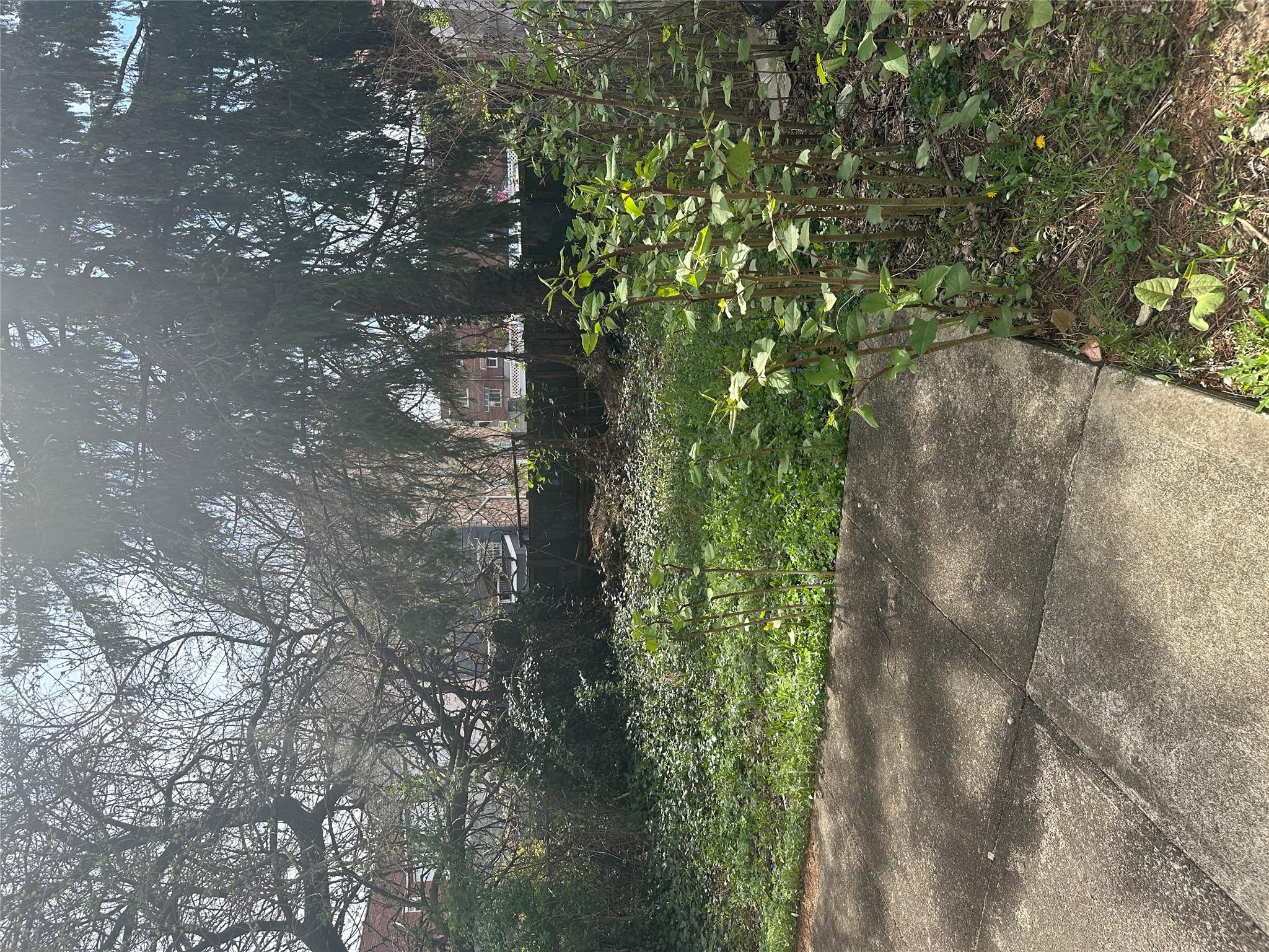 433 Howe Avenue, Unit A Bronx, NY 10473 - Photo 12 of 12 a view of backyard with green space