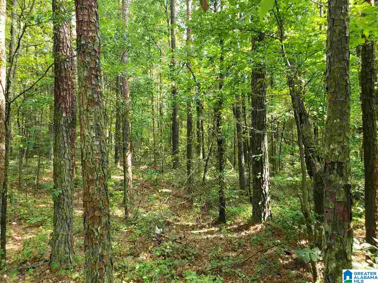2697 Highway 39, Unit 1 Chelsea, AL 35043 - Photo 1 of 3