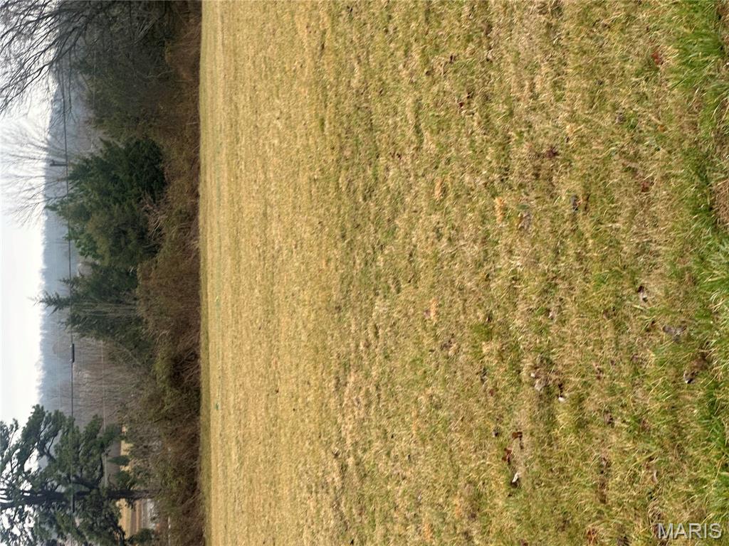 3 Oxen Pasture Road Doniphan, MO 63935 - Photo 3 of 4