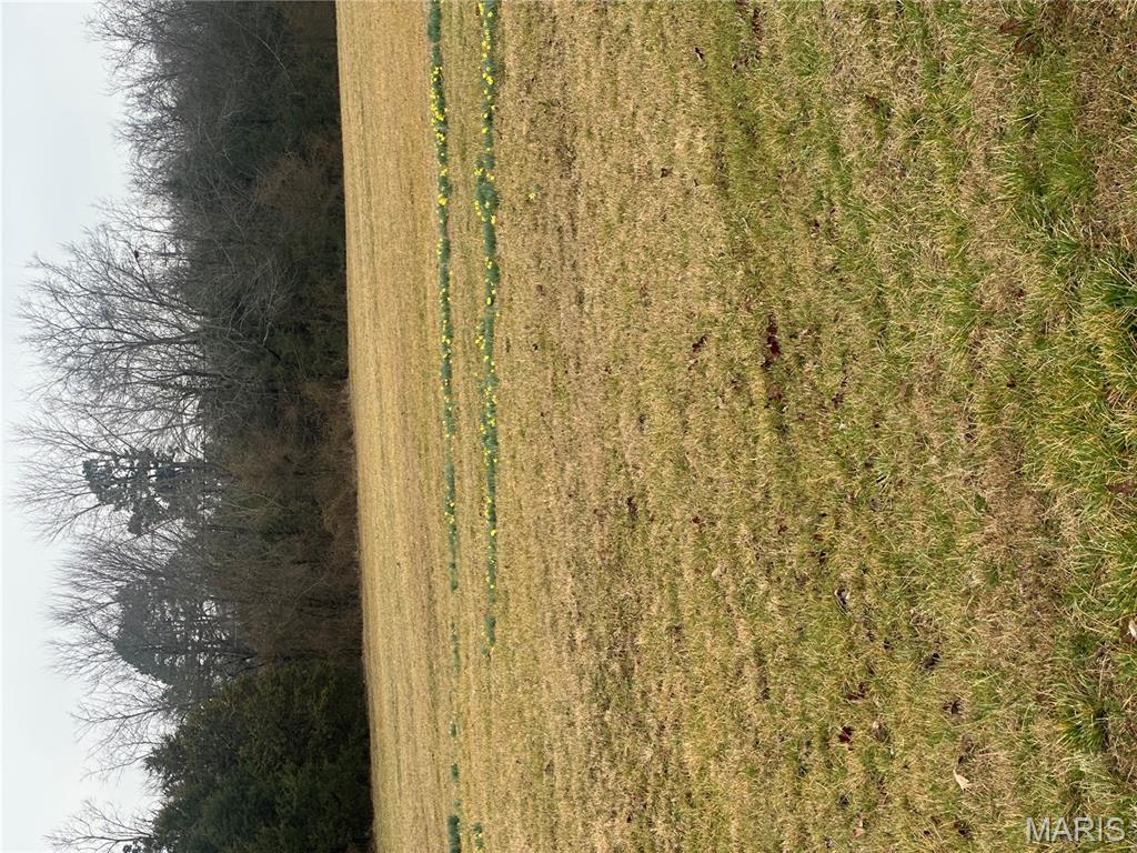 3 Oxen Pasture Road Doniphan, MO 63935 - Photo 4 of 4