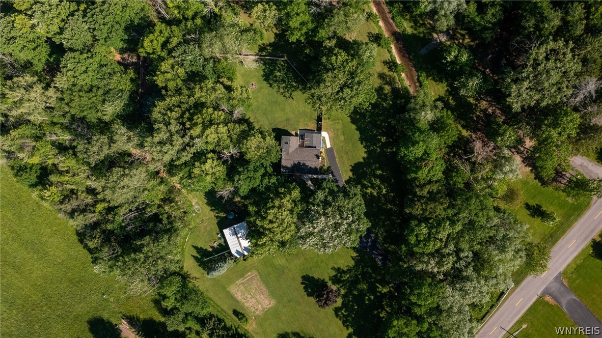3327 Palmer Road Wilson, NY 14131 - Photo 45 of 48